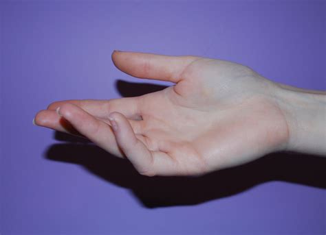 Hand Holding Reference Photos