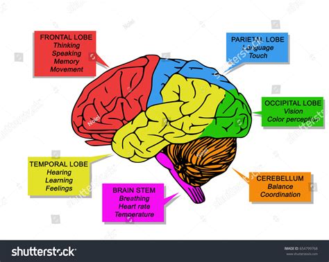 Image result for Mapping Method of Note Taking