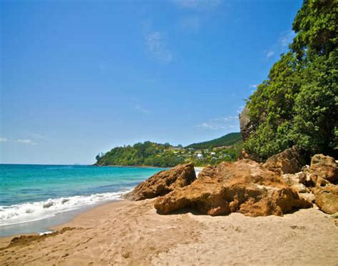 Beaches In Coromandel, New Zealand | Hot Water Beach, Coromandel ...
