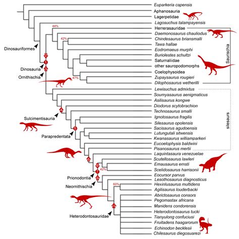 Shaking the Dinosaur Family Tree: How Did ‘Bird-Hipped’ Dinosaurs ...