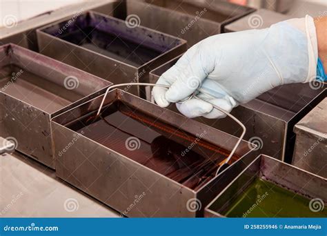 Image result for Microscope Staining