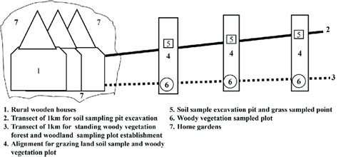 Image result for Transect Method Continuous Sampling