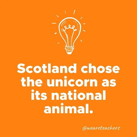 130 weird but true facts to amaze and surprise everyone – Artofit