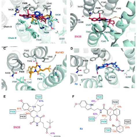 Image result for All-Atom Molecular Dynamic