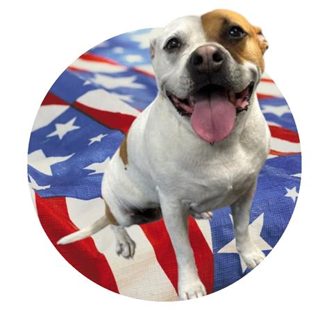 Nail Trim Day, 4990 Main Street, Onekama, MI, 11 July 2024 | AllEvents.in