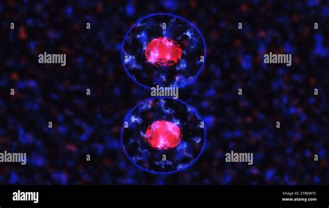 Image result for Cell Types Under Microscope