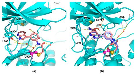 Discovery of a Novel Class of Covalent Dual Inhibitors Targeting the ...