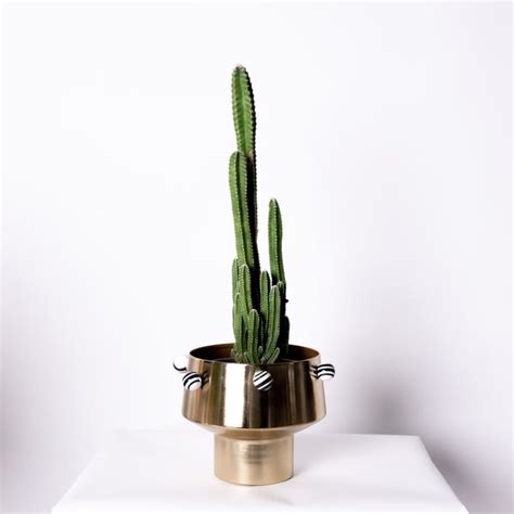 LOGAM X ROSHNI CHOPRA