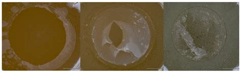 Airborne-Particle Abrasion vs. Hydrofluoric Acid Etching of Dental ...