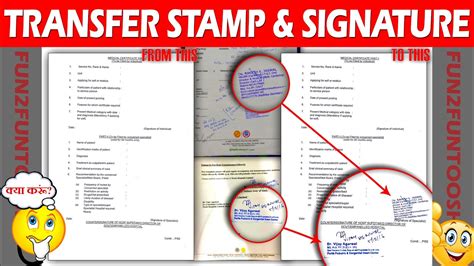 Image result for How to Copy Paste Stamp in Documents