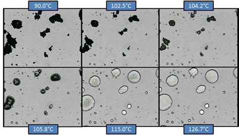 Efavirenz Dissolution Enhancement I: Co-Micronization