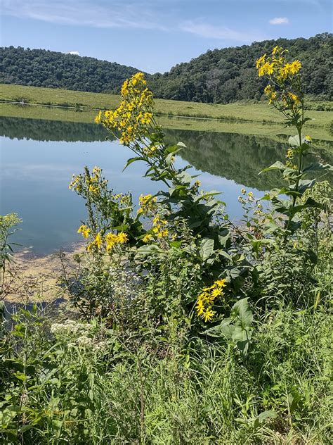 Sidie Hollow County Park (Viroqua) - All You Need to Know BEFORE You Go