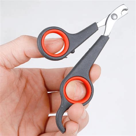 Parrot Nail Clippers, Bird Claw Feather Trimmer, Bird Nail Scissor ...