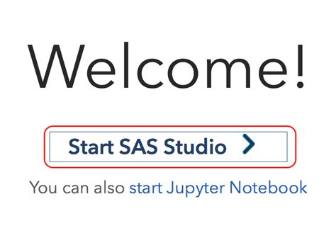 Image result for SAS Programming Tutorial