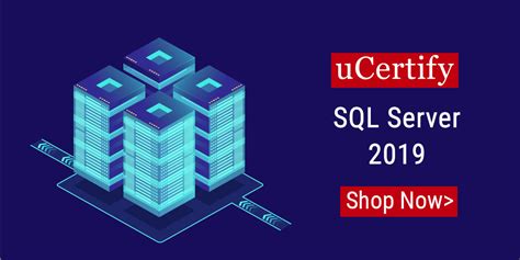 Learn SQL Server 2019 的图像结果