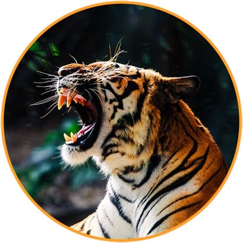 Maharashtra Zoo Authority - MAHARASHTRA FOREST DEPARTMENT