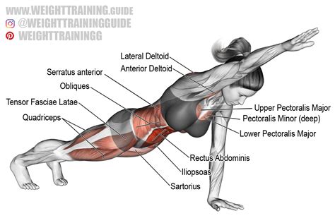 Image result for High Plank Exercise