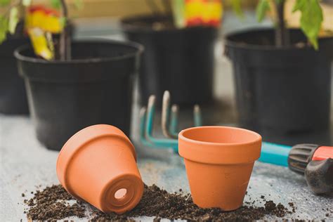 How To Put Drainage Holes In Plastic Plant Pots | Storables
