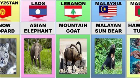 Image result for Animals On Button Moon