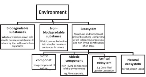 Class 10 Chapter Our Environment Notes 的图像结果