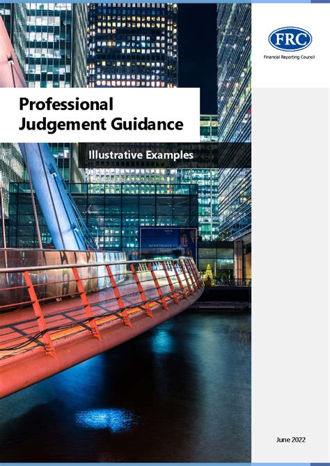FRC Professional Judgement Guidance: Illustrative Examples (June 2022 ...