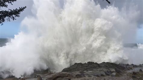 Image result for shore acres waves