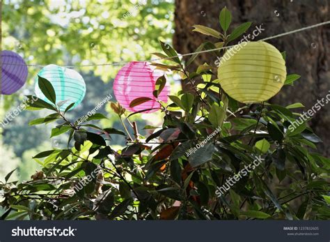 Image result for Paper Latern Pattern Design