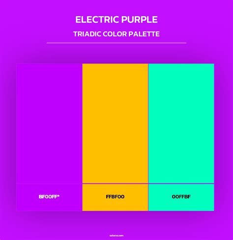 Electric Purple color palettes - colorxs.com