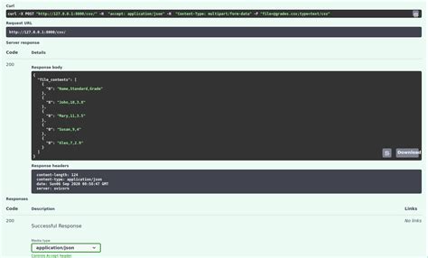 Fast API Tutorial 的图像结果