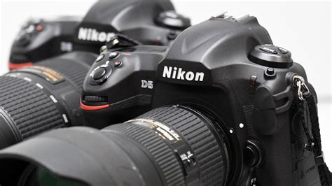 Best Canon DSLR Camera 的图像结果