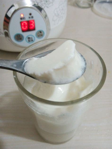 【自制特浓酸奶的做法步骤图，怎么做好吃】八卦兔JadeCw_下厨房