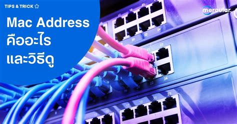 Rezultat imagine pentru Find Mac Address via HTML