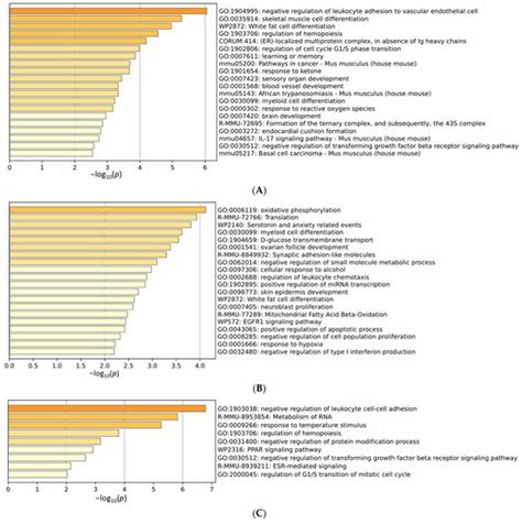 Intermittent Hypoxia Induces Cognitive Dysfunction and Hippocampal Gene ...