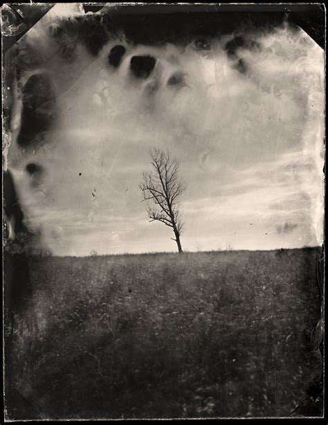 Wet Plate Collodion Photography Print - Tree- Landscape - Fine Art ...