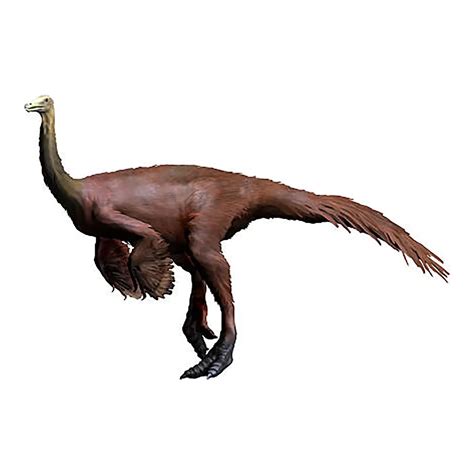 Ornithomimus | Dino Encyclopedia