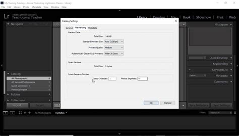 Catalog Settings in Lightroom Classic CC- Instructions