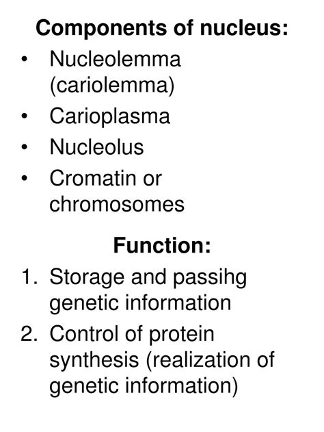 Cell Structure and Function 的图像结果