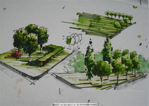 景观马克笔手绘树景观马克笔手绘图片2022已更新今日资讯