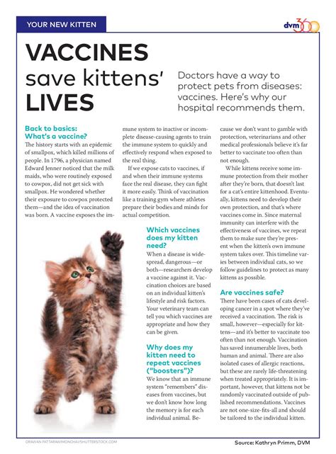 Kalamazoo Animal Services