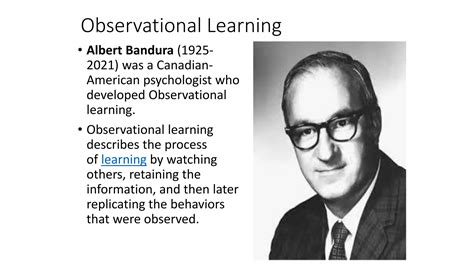 Image result for Observational Learning Theory