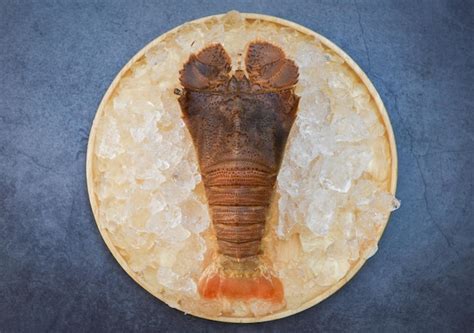 Raw flathead lobster shrimps on ice fresh slipper lobster flathead for ...