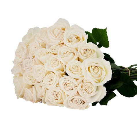 'Playa Blanca' Off White Roses The Rosarium - Premium Flower Delivery ...