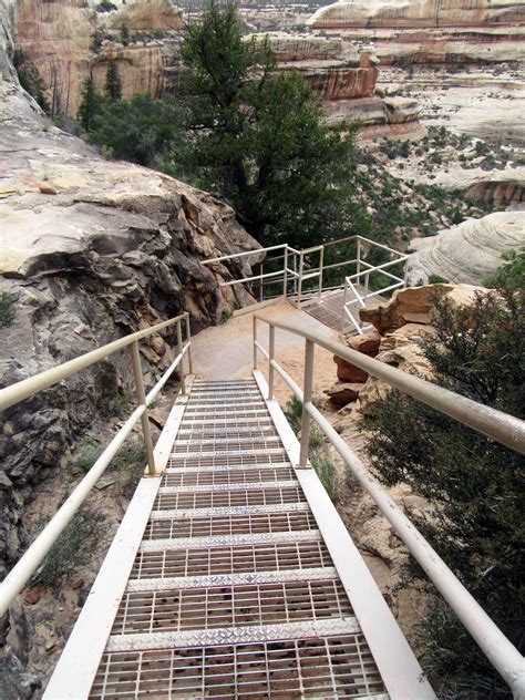 Loop Trail 的图像结果