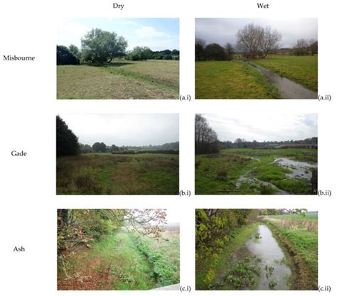 Reconstructing Spatiotemporal Dynamics in Hydrological State Along ...