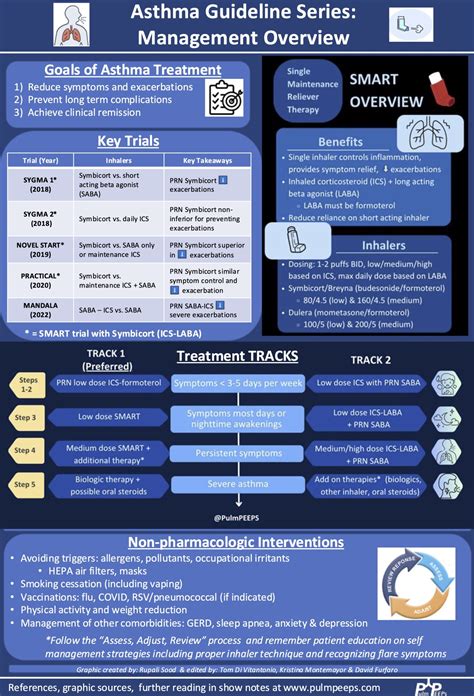 96. Guidelines Series: GINA Guidelines – Asthma Treatment and ...