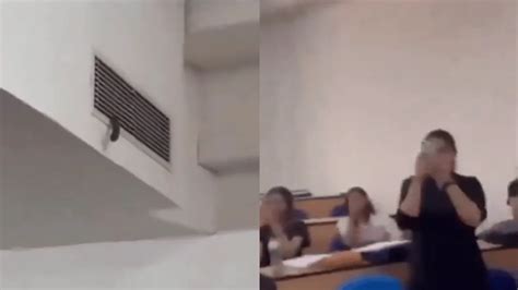 Snake Slithers Out Of AC Vent In University Class Full Of Students ...