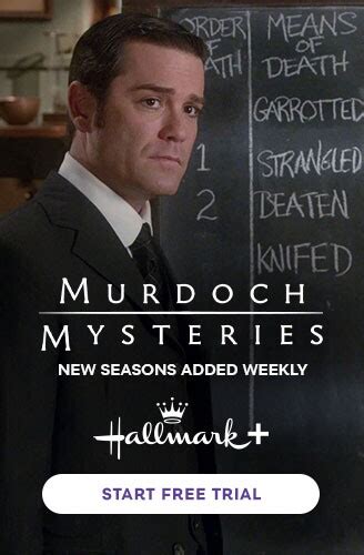 The Irresistible Blueberry Farm