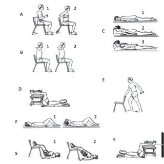 Core Stability Exercises 的图像结果