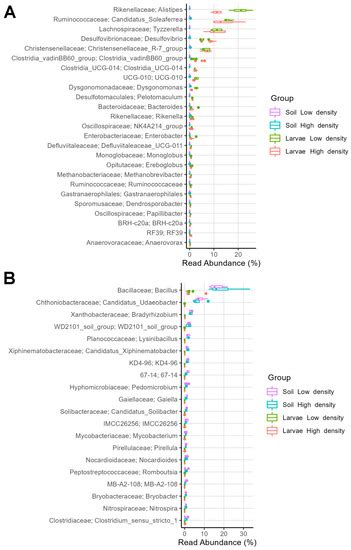 Exploring Gut Microbiome Variations between Popillia japonica ...