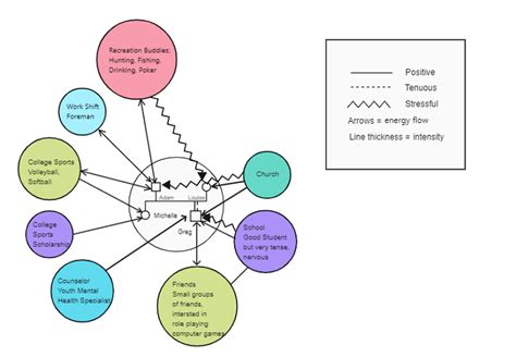 Image result for Individual Ecomap Example